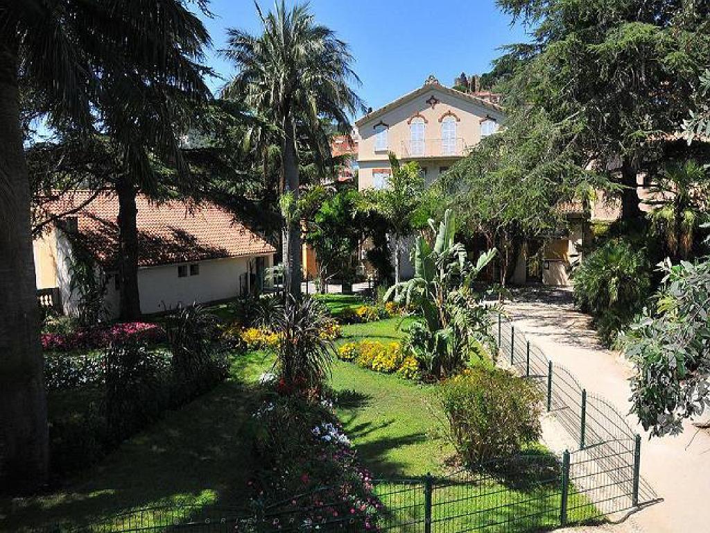 183 D25 BORMES LES MIMOSAS 3_000014.jpg